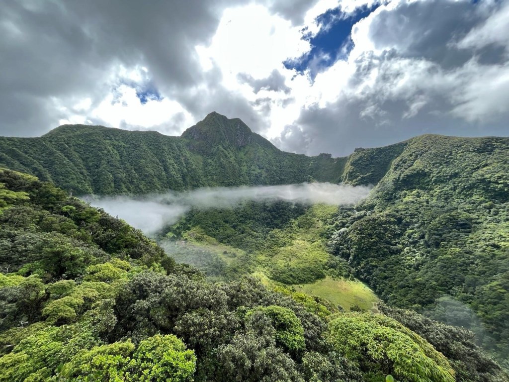 St.Kitts Native Marcus Davis aka Marcus of the Woods: Enslaved Resistance and Survival in the Colonial&nbsp;Caribbean